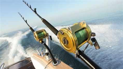 What are the top 6 best fishing rods .